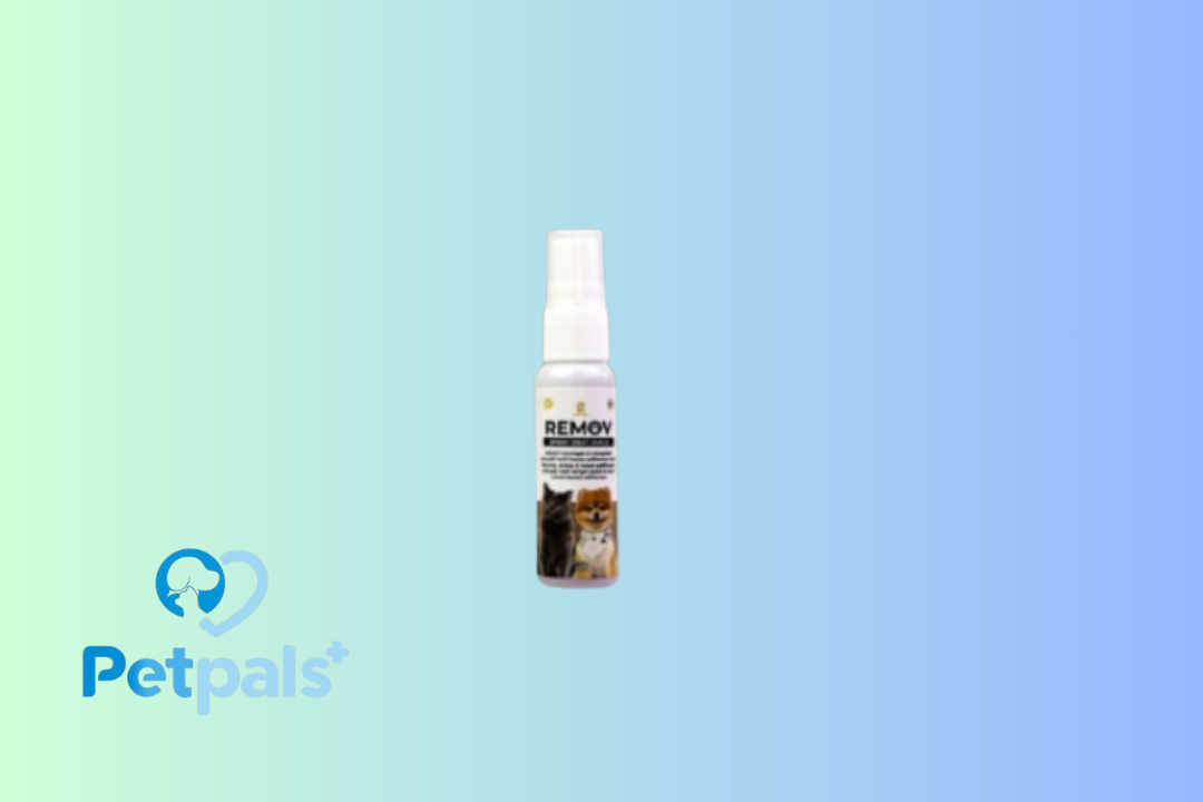 REMOV Spray Obat Kutu 30ML